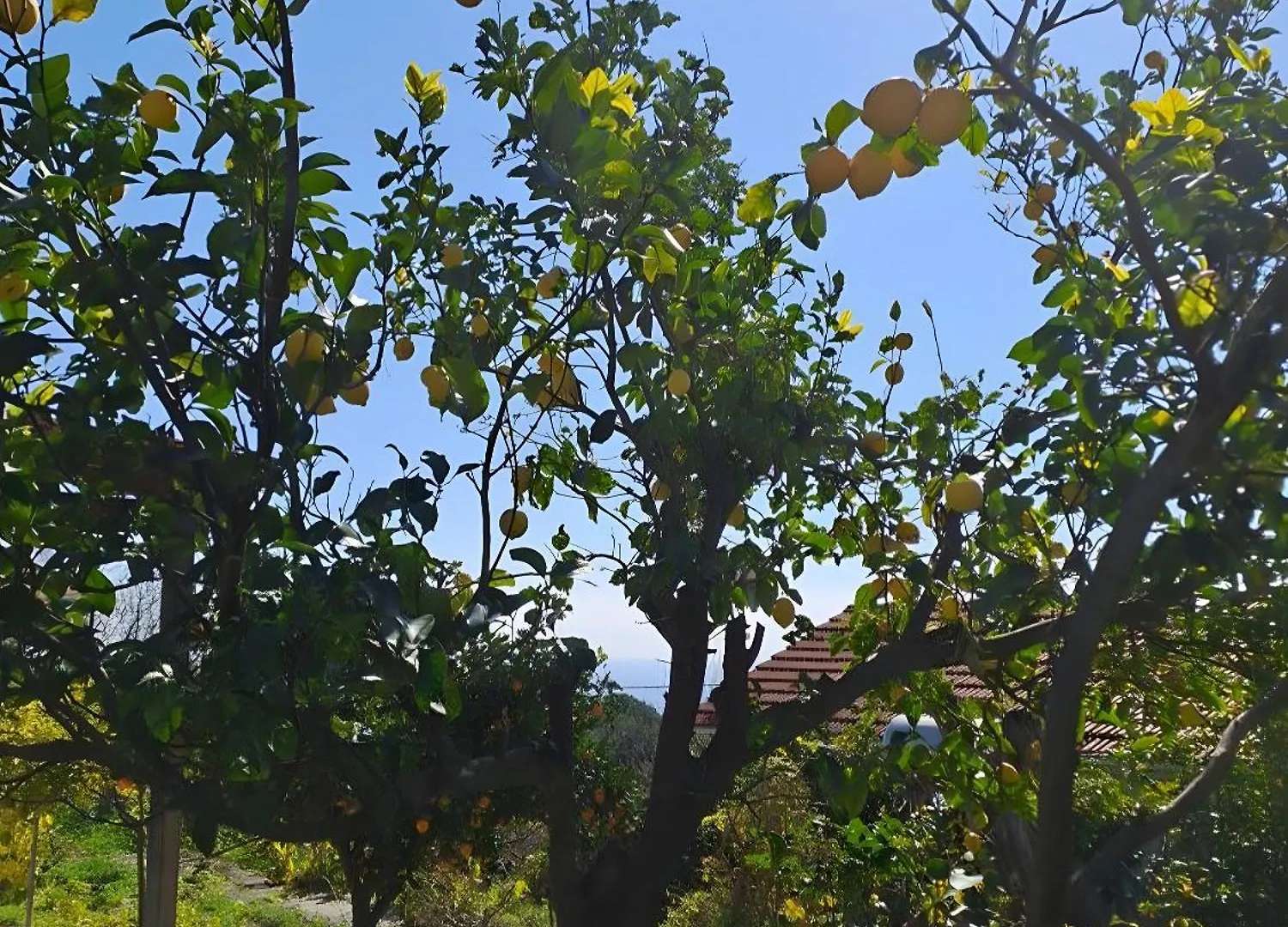 Holiday home Palati Villa Ratzaklion